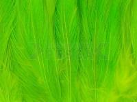 Neck Hackle Strung - fl.chartreuse