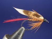 Oak Fly no.  8