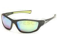 Gafas Polarizadas Solano FL 20056A