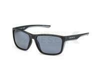 Solano Polarized Sunglasses FL 20078 - B