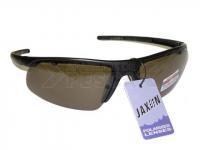 Polarized Sunglasses Type 04 AM