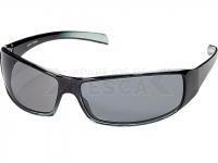 Polarized Sunglasses Type  17 SM