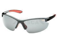 Polarized Sunglasses Type 29 SM