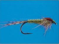 Olive Nymph no.16