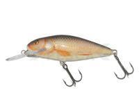 Señuelo Salmo Perch PH8DR - Real Roach