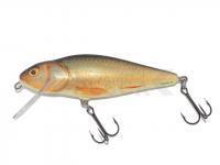 Señuelo Salmo Perch PH8F - Real Roach