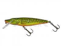 Señuelo Salmo Pike PE16F - Hot Pike