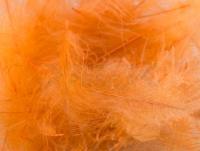Plumas FMFly Goose CDC 1G - Dyed Orange Insect