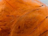 Plumas FMFly Goose CDC 1G - Dyed Rusty