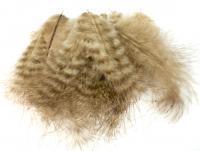 Plumas Wapsi Grizzly Marabou - MG041 Tan