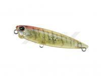 Señuelo Duo Realis Pencil 65 mm 5.5g | 2-1/2in 1/5oz - CCC3359