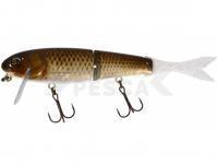 Señuelo Illex Blast Bone Jr 150 SF 15cm 26g - RT Gold Carp