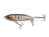 Señuelo Madcat Cat Plopper 16cm 55g - Perch