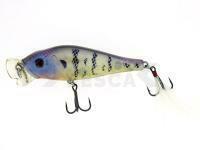 Señuelo Molix Shaman Popper 8.5cm 12.5g - 57 Blue Gill