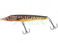 Señuelo Salmo Jack 18cm 70g Sinking - Barred Muskie - Limited edition colours