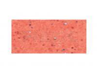 Vinilo Tiemco PDL Locoism LinkIn Swimmer 3 inch | Shrimp Flavor - 156 Non-Salty