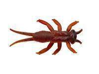 Señuelos blandos Delalande Perla 3cm - 148 - Rouille