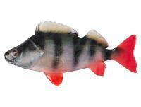 Señuelos blandos Fox Rage Ultra Natural Fillets 8cm - Perch