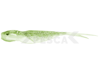 Vinilos Qubi Lures Syrena V-Tail 10cm 5.6g - Stynka