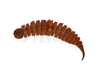 Vinilos Qubi Lures BigFatSnail 6cm 1g - Carrot