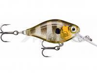 Señuelo Rapala X-Light Crank Mid Runner 3.5cm - Glassy Gill UV