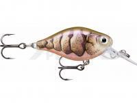 Señuelo Rapala X-Light Crank Mid Runner 3.5cm - Purple Prawn UV