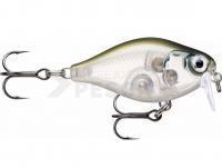 Señuelo Rapala X-Light Crank Shallow Runner 3.5cm - Ghost Shiner