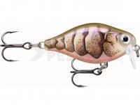 Señuelo Rapala X-Light Crank Shallow Runner 3.5cm - Purple Prawn UV