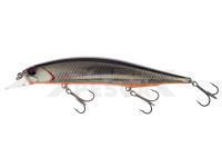 Señuelo DUO Realis Jerkbait 120SP - ADA3081 Prism Shad