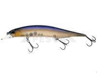 Señuelo DUO Realis Jerkbait 120SP - CCC3172 Threadfin Shad