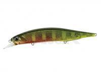 Señuelo DUO Realis Jerkbait 120SP - CCCZ169