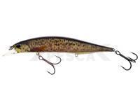 Señuelo DUO Realis Jerkbait 120SP Pike Limited - CCC3815 Bown Trout ND