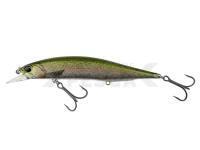 Señuelo DUO Realis Jerkbait 120SP Pike Limited - CCC3836 Rainbow Trout ND