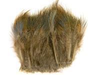 Ringneck Rump Hackle - Natural