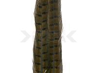 Ringneck Tail Feathers - 089 Olive