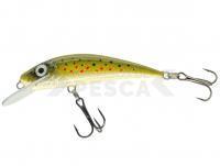 Señuelo River Custom Baits Fury 7 cm 6g - T002