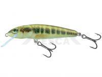 Señuelo Salmo Minnow M6S 6cm - Minnow