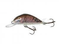 Señuelo Dorado Scout ST-6 Floating CG