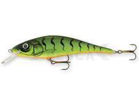 Señuelo Goldy Seeker 17cm - GFT