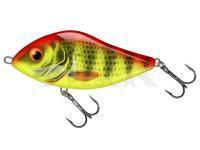 Señuelo Salmo Slider SD10F Bright Perch