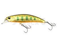 Señuelo DUO Spearhead Ryuki 60S - MCC4084 Gold Yamame