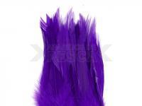 Plumas Wapsi Strung Rooster Saddles - purple/white