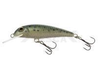 Señuelo Wob-Art Strzebla (Common minnow) 6cm 4g MF DR - 21