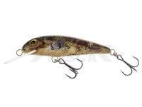 Señuelo Wob-Art Strzebla (Common minnow) 6cm 4g MF DR - 39