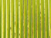 Hemingway's Tapered Buzzer Quills - Green Gold
