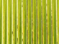 Hemingway's Tapered Buzzer Quills - Green Gold