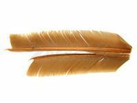 Turkey Biot Quills - Dark Tan