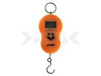 Electronic fishing scale 50kg WAM014