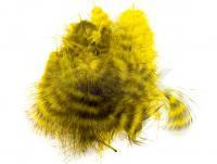 Plumas Wapsi Grizzly Marabou - MG006 Yellow