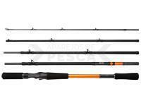 Caña Shimano STC AX Casting 2.40m 50-100g